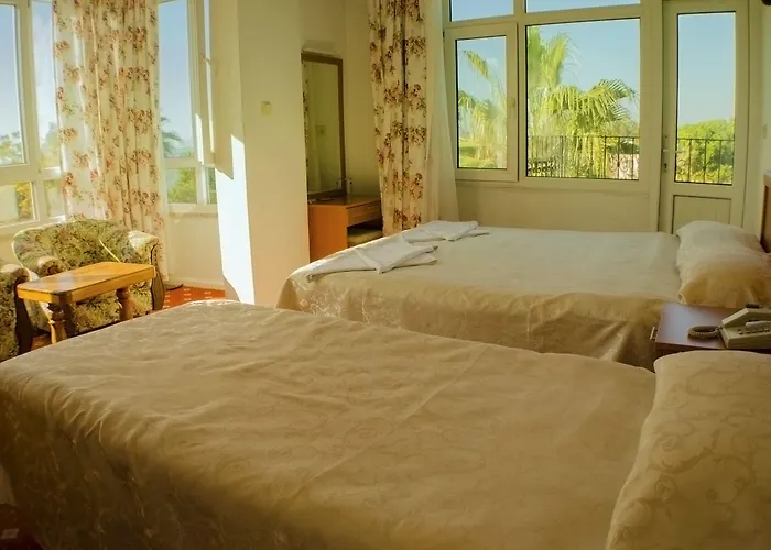 Seril 1 フェティエ