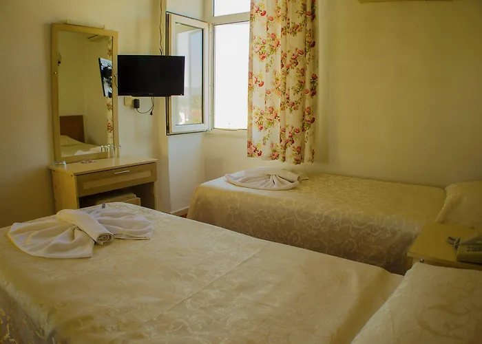 Seril 1 2* フェティエ