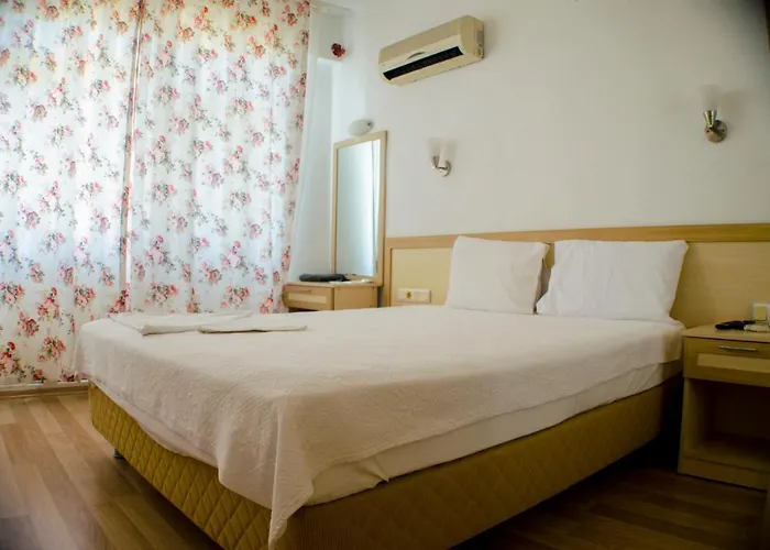 Seril 1 2* フェティエ