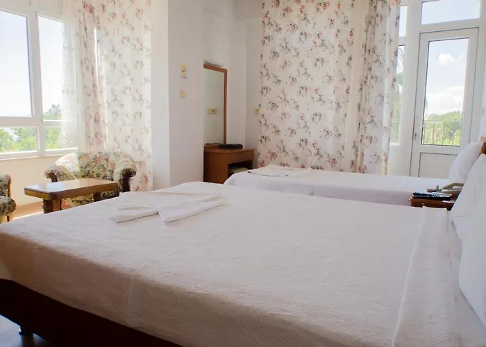 Seril 1 フェティエ