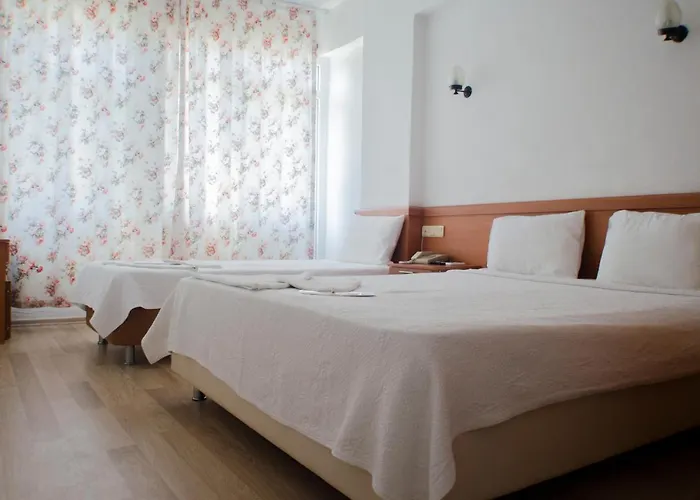 Seril 1 フェティエ