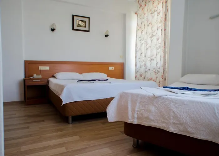 Seril 1 フェティエ